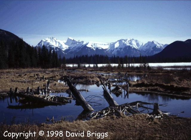 Vermilion Lakes